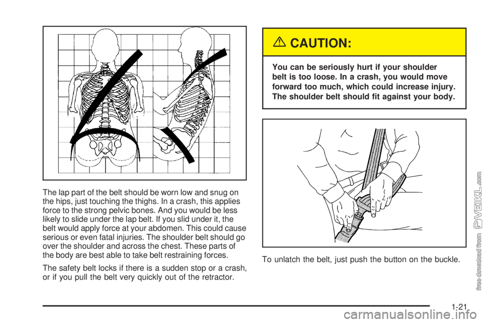 CHEVROLET CLASSIC 2005 Owners Manual The lap part of the belt should be worn low and snug on
the hips, just touching the thighs. In a crash, this applies
force to the strong pelvic bones. And you would be less
likely to slide under the l