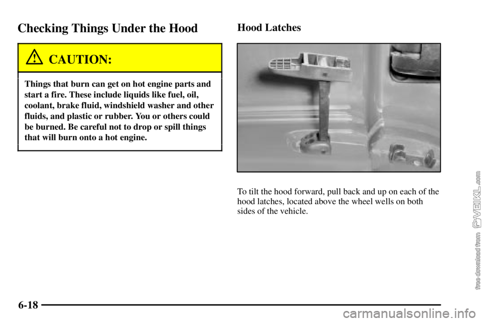 CHEVROLET C/K 2003 Owners Manual 6-18
Checking Things Under the Hood
CAUTION:
Things that burn can get on hot engine parts and
start a fire. These include liquids like fuel, oil,
coolant, brake fluid, windshield washer and other
flui