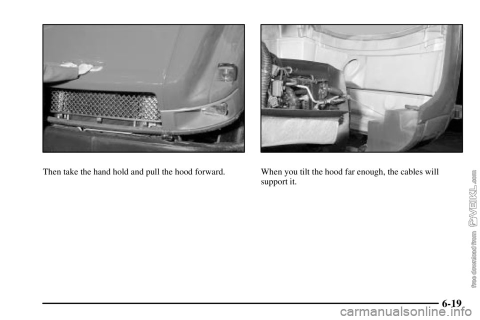 CHEVROLET C/K 2003  Owners Manual 6-19
Then take the hand hold and pull the hood forward.When you tilt the hood far enough, the cables will
support it. 