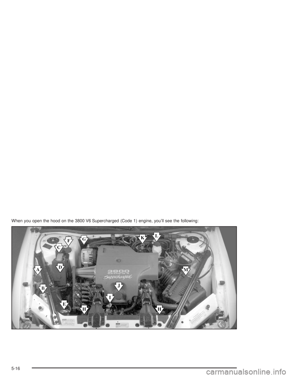 CHEVROLET MONTE CARLO 2004  Owners Manual When you open the hood on the 3800 V6 Supercharged (Code 1) engine, you’ll see the following:
5-16 