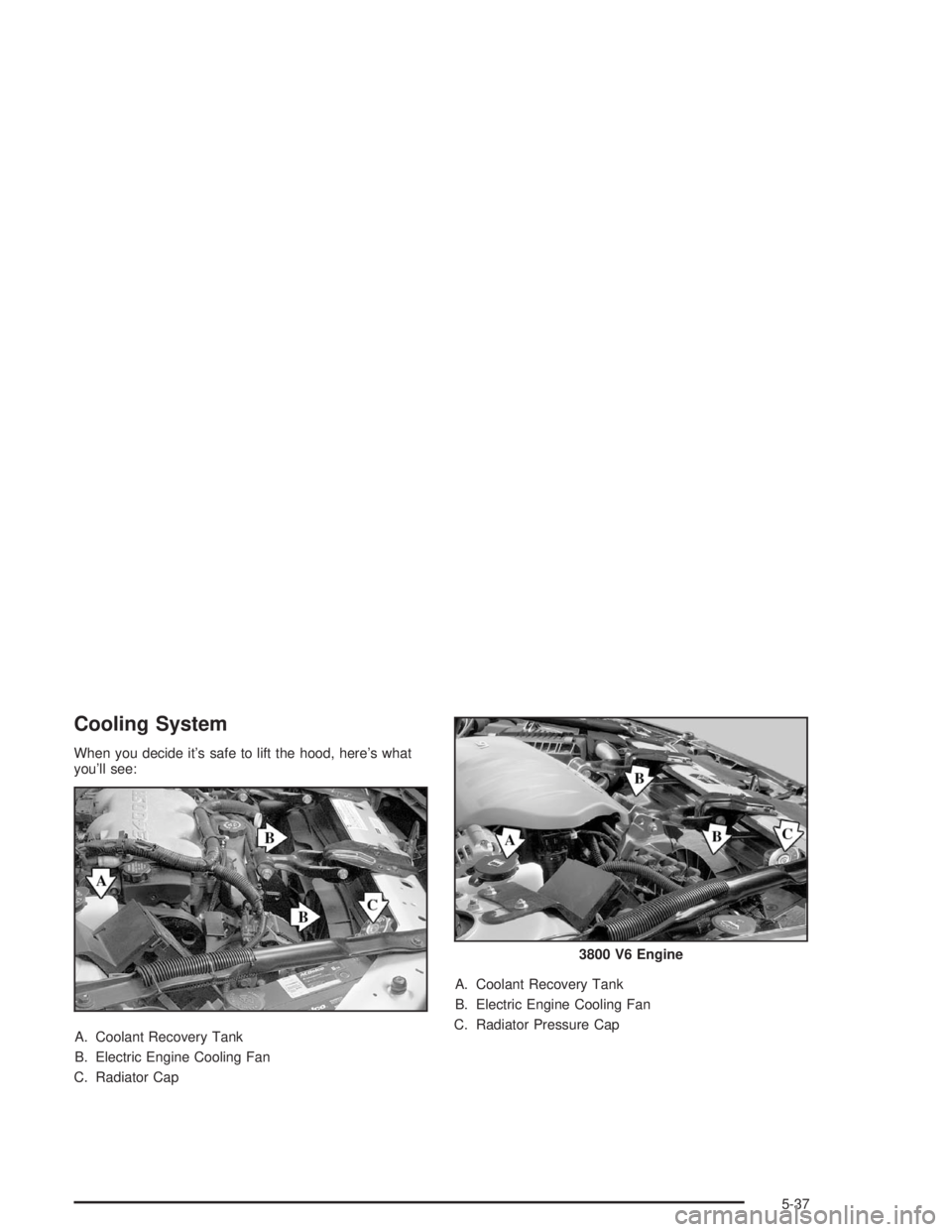 CHEVROLET MONTE CARLO 2004 User Guide Cooling System
When you decide it’s safe to lift the hood, here’s what
you’ll see:
A. Coolant Recovery Tank
B. Electric Engine Cooling Fan
C. Radiator CapA. Coolant Recovery Tank
B. Electric Eng