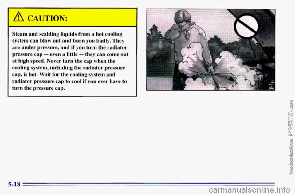 CHEVROLET ASTRO 1996 Owners Manual Steam and scalding liquids from a hot cooling
system can blow out and burn you badly. They
are under pressure, and if you turn the radiator
pressure cap
-- even a little -- they CHEVROLET ASTRO 1996 Owners Manual Steam and scalding liquids from a hot cooling
system can blow out and burn you badly. They
are under pressure, and if you turn the radiator
pressure cap
-- even a little -- they