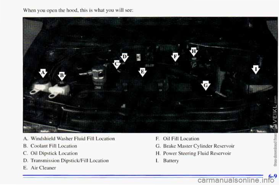 CHEVROLET ASTRO 1996 Owners Manual When you open the hood, this is what you will see:
-
A. Windshield Washer Fluid Fill Location
B. Coolant Fill Location
C. Oil Dipstick Location
D. Transmission Dipstick/Fill Location
E CHEVROLET ASTRO 1996 Owners Manual When you open the hood, this is what you will see:
-
A. Windshield Washer Fluid Fill Location
B. Coolant Fill Location
C. Oil Dipstick Location
D. Transmission Dipstick/Fill Location
E