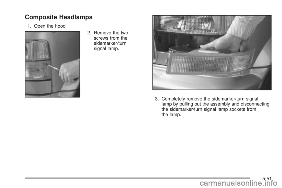 CHEVROLET ASTRO 2004  Owners Manual Composite Headlamps
1. Open the hood.
2. Remove the two
screws from the
sidemarker/turn
signal lamp.
3. Completely remove the sidemarker/turn signal
lamp by pulling out the assembly and disconnecting
