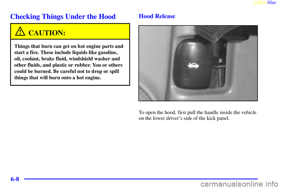 CHEVROLET ASTRO 1999 Owners Manual yellowblue     
6-8
Checking Things Under the Hood
CAUTION:
Things that burn can get on hot engine parts and
start a fire. These include liquids like gasoline,
oil, coolant, brake fluid, windshield wa