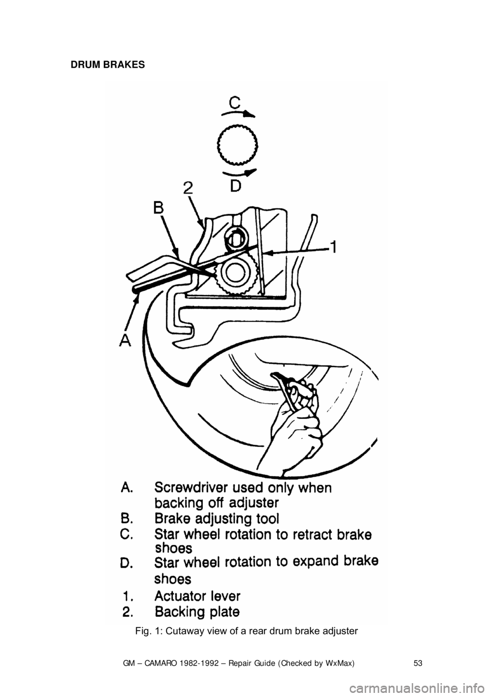 CHEVROLET CAMARO 1982  Repair Guide 
GM – CAMARO 1982-1992 – Repair Guide (Checked by WxMax) 53
DRUM BRAKES 
 
Fig. 1: Cutaway view of a rear drum brake adjuster  