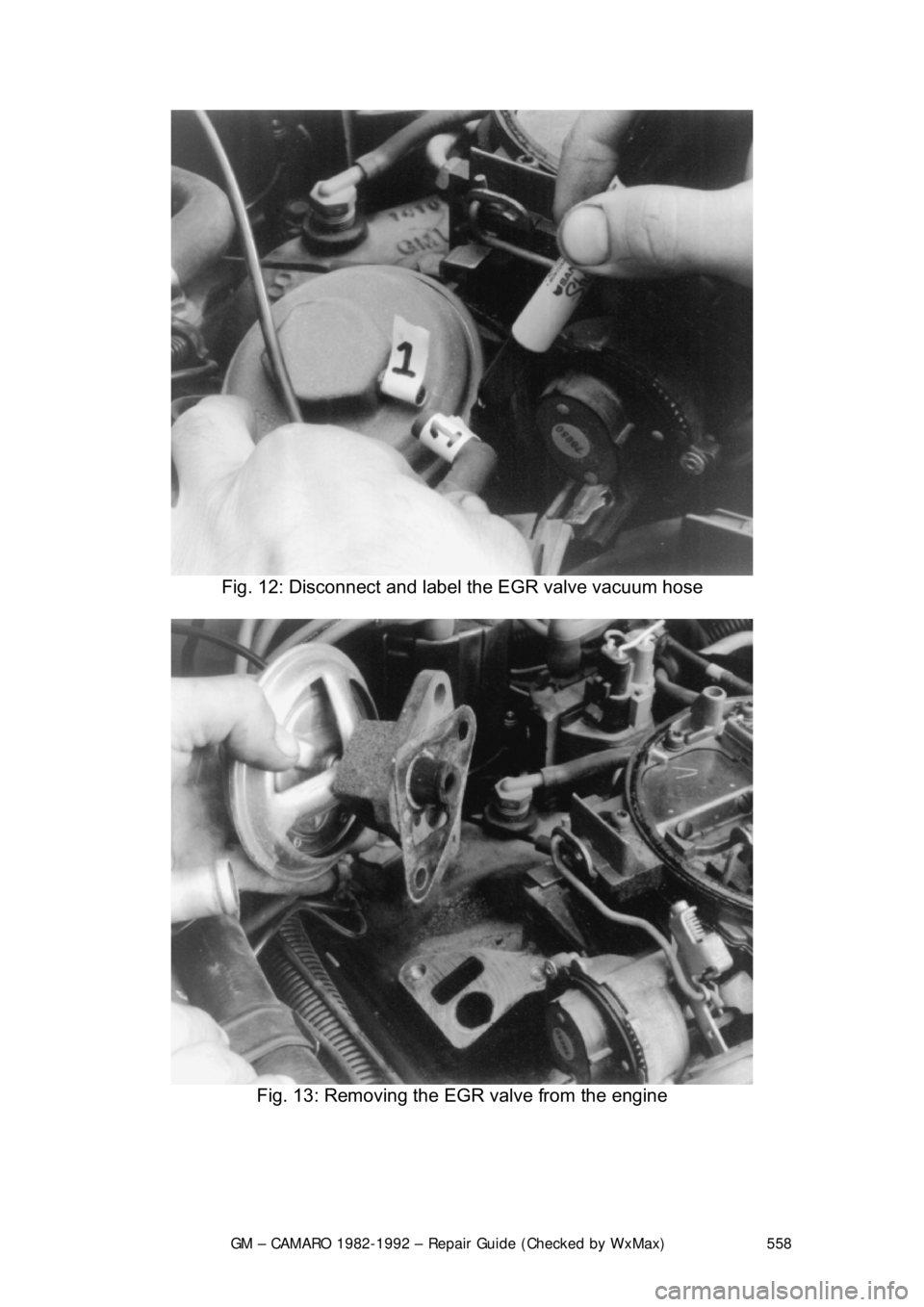CHEVROLET CAMARO 1982  Repair Guide 
GM – CAMARO 1982-1992 – Repair Guide (Checked by WxMax) 558
 
Fig. 12: Disconnect and label the EGR valve vacuum hose 
 
Fig. 13: Removing the EGR valve from the engine 
  