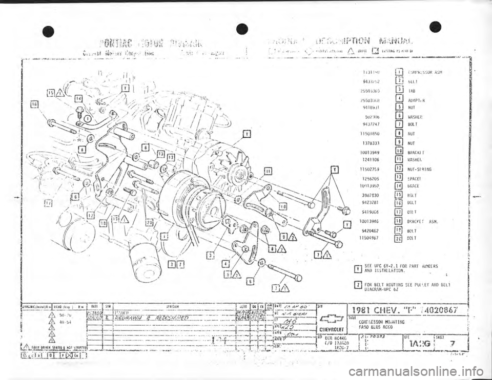 CHEVROLET CAMARO 1981 Assembly Manual CHEVROLET CAMARO 1981 Assembly Manual