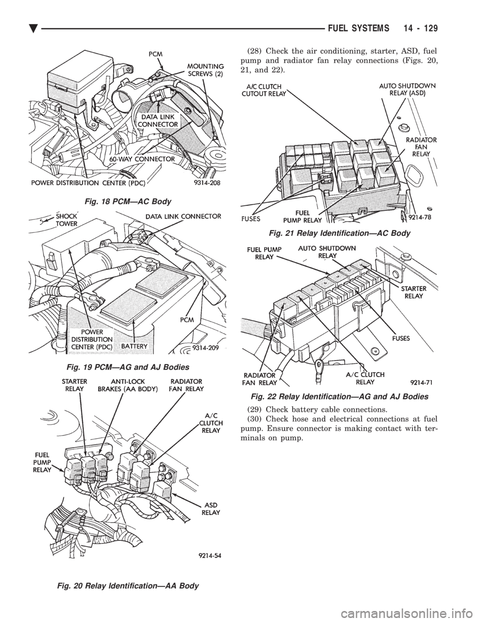 CHEVROLET DYNASTY 1993 Service Manual (28) Check the air conditioning, starter, ASD, fuel
pump and radiator fan relay connections (Figs. 20,
21, and 22).
(29) Check battery cable connections.
(30) Check hose and electrical connections CHEVROLET DYNASTY 1993 Service Manual (28) Check the air conditioning, starter, ASD, fuel
pump and radiator fan relay connections (Figs. 20,
21, and 22).
(29) Check battery cable connections.
(30) Check hose and electrical connections