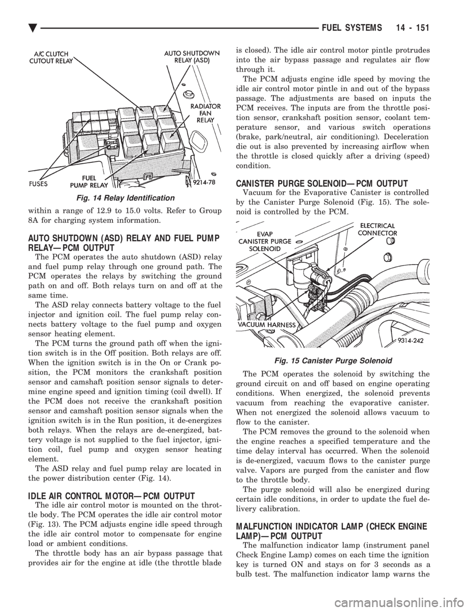 CHEVROLET DYNASTY 1993 Service Manual within a range of 12.9 to 15.0 volts. Refer to Group
8A for charging system information.
AUTO SHUTDOWN (ASD) RELAY AND FUEL PUMP
RELAYÐPCM OUTPUT
The PCM operates the auto shutdown (ASD) relay
and CHEVROLET DYNASTY 1993 Service Manual within a range of 12.9 to 15.0 volts. Refer to Group
8A for charging system information.
AUTO SHUTDOWN (ASD) RELAY AND FUEL PUMP
RELAYÐPCM OUTPUT
The PCM operates the auto shutdown (ASD) relay
and