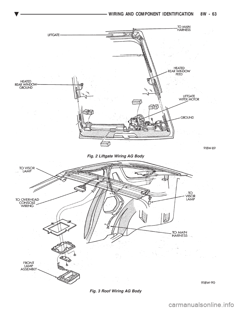 CHEVROLET DYNASTY 1993  Service Manual Fig. 2 Liftgate Wiring AG Body
Fig. 3 Roof Wiring AG Body
Ä WIRING AND COMPONENT IDENTIFICATION 8W - 63 