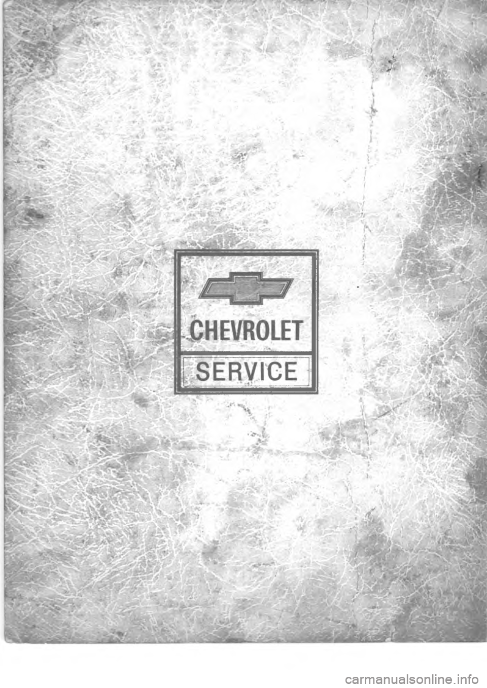 CHEVROLET LIGHT DUTY TRUCK 1973  Service Manual 