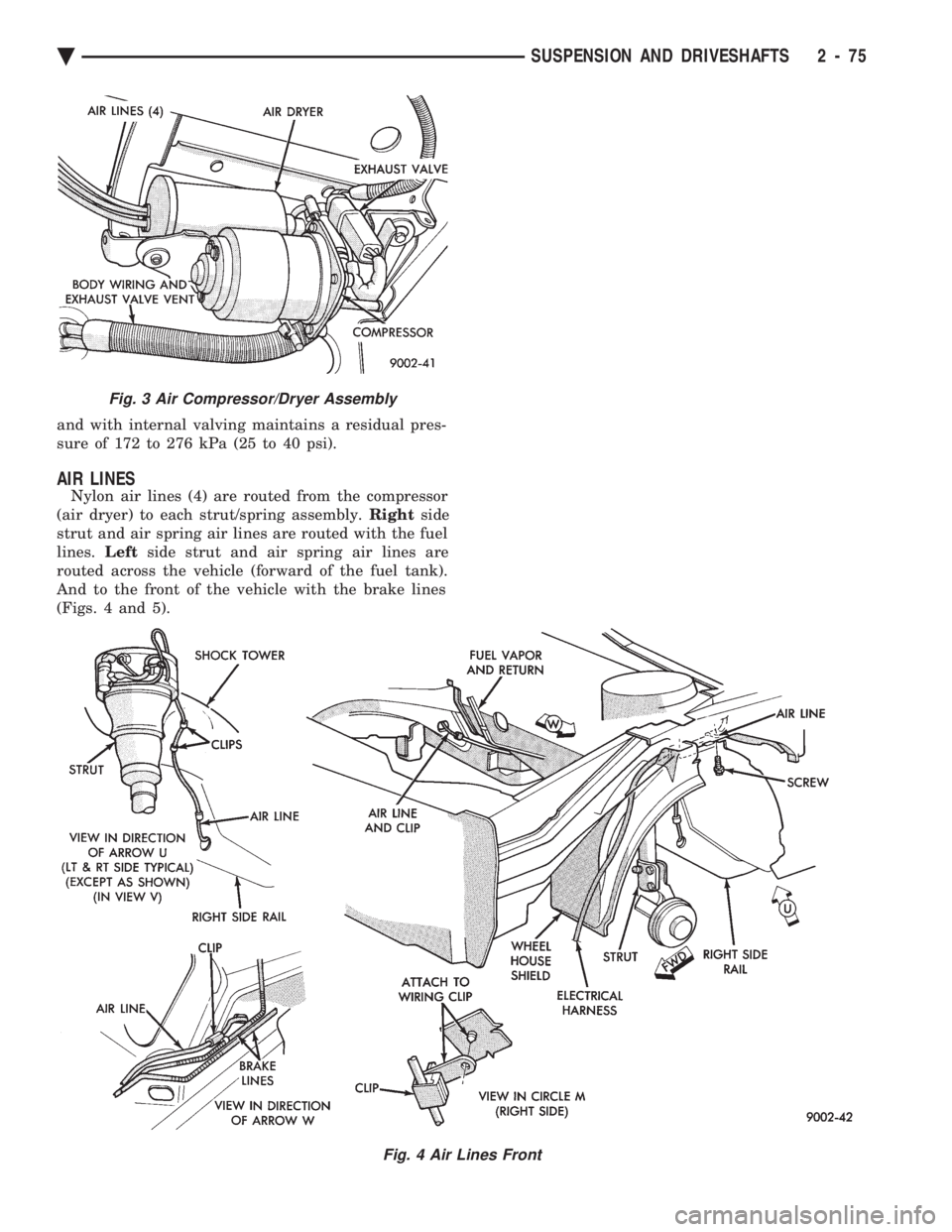 CHEVROLET PLYMOUTH ACCLAIM 1993 Service Manual and with internal valving maintains a residual pres-
sure of 172 to 276 kPa (25 to 40 psi).
AIR LINES
Nylon air lines (4) are routed from the compressor
(air dryer) to each strut/spring assembly. Ri CHEVROLET PLYMOUTH ACCLAIM 1993 Service Manual and with internal valving maintains a residual pres-
sure of 172 to 276 kPa (25 to 40 psi).
AIR LINES
Nylon air lines (4) are routed from the compressor
(air dryer) to each strut/spring assembly. Ri