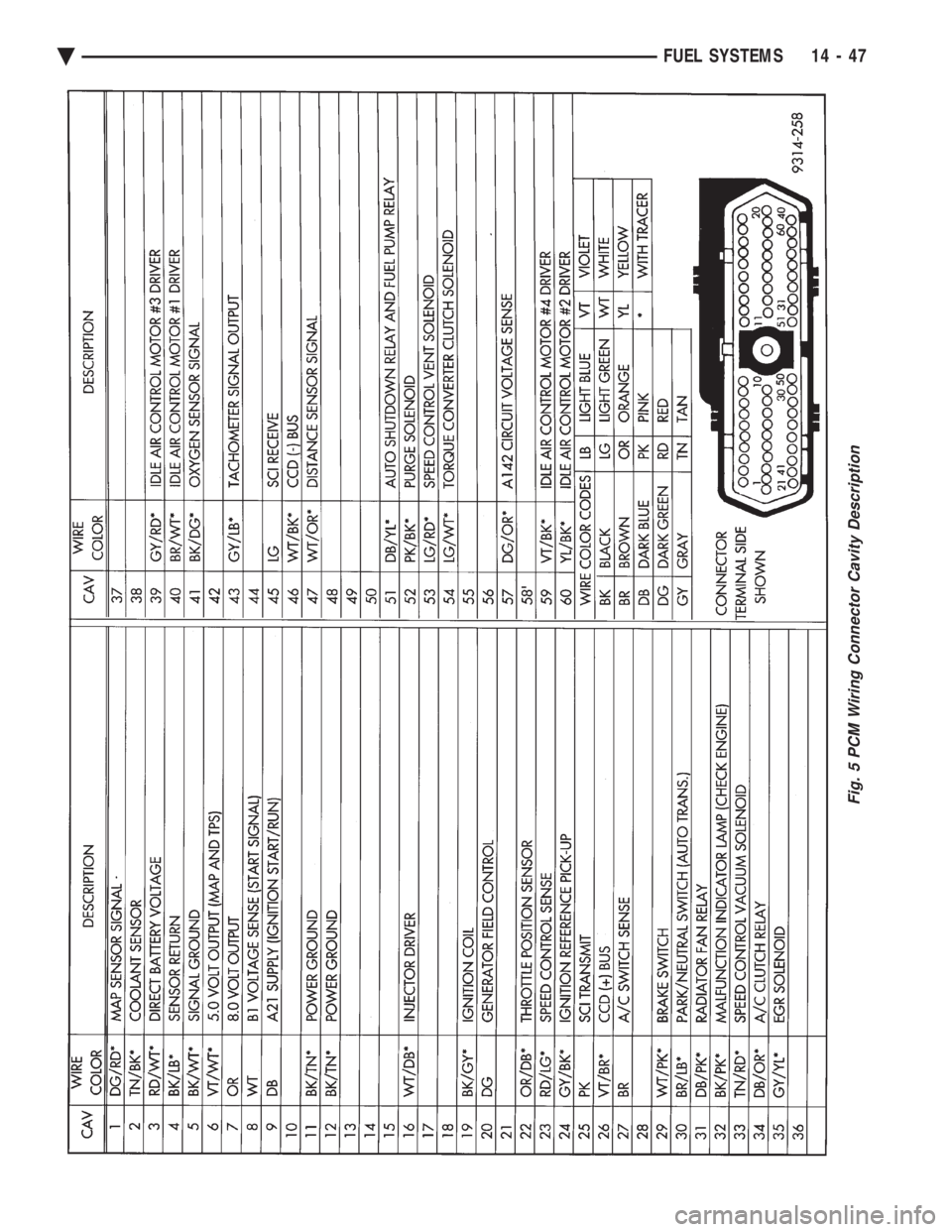 CHEVROLET PLYMOUTH ACCLAIM 1993 Service Manual Fig. 5 PCM Wiring Connector Cavity Description
Ä FUEL SYSTEMS 14 - 47 CHEVROLET PLYMOUTH ACCLAIM 1993 Service Manual Fig. 5 PCM Wiring Connector Cavity Description
Ä FUEL SYSTEMS 14 - 47