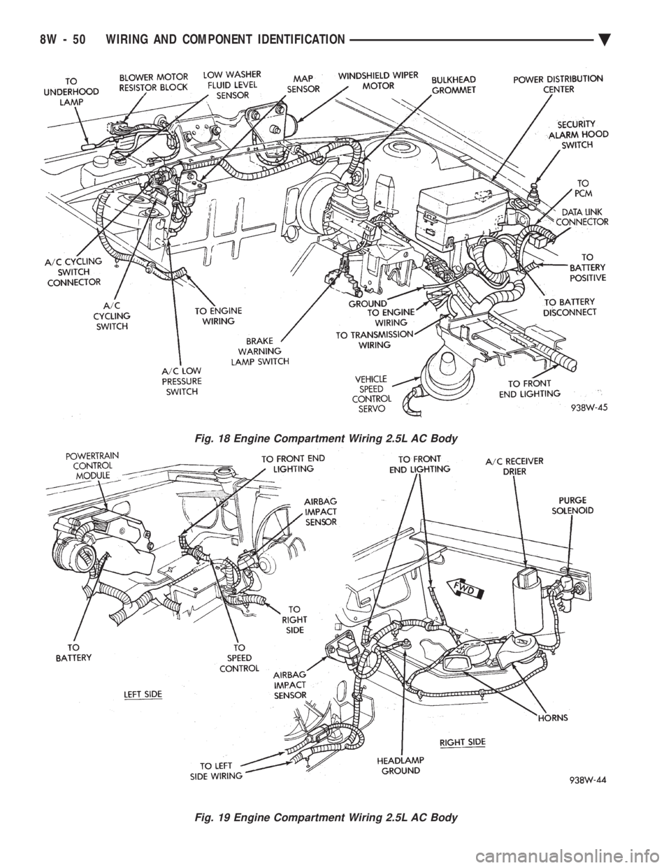 CHEVROLET PLYMOUTH ACCLAIM 1993 Service Manual Fig. 18 Engine Compartment Wiring 2.5L AC Body
Fig. 19 Engine Compartment Wiring 2.5L AC Body
8W - 50 WIRING AND COMPONENT IDENTIFICATION Ä CHEVROLET PLYMOUTH ACCLAIM 1993 Service Manual Fig. 18 Engine Compartment Wiring 2.5L AC Body
Fig. 19 Engine Compartment Wiring 2.5L AC Body
8W - 50 WIRING AND COMPONENT IDENTIFICATION Ä