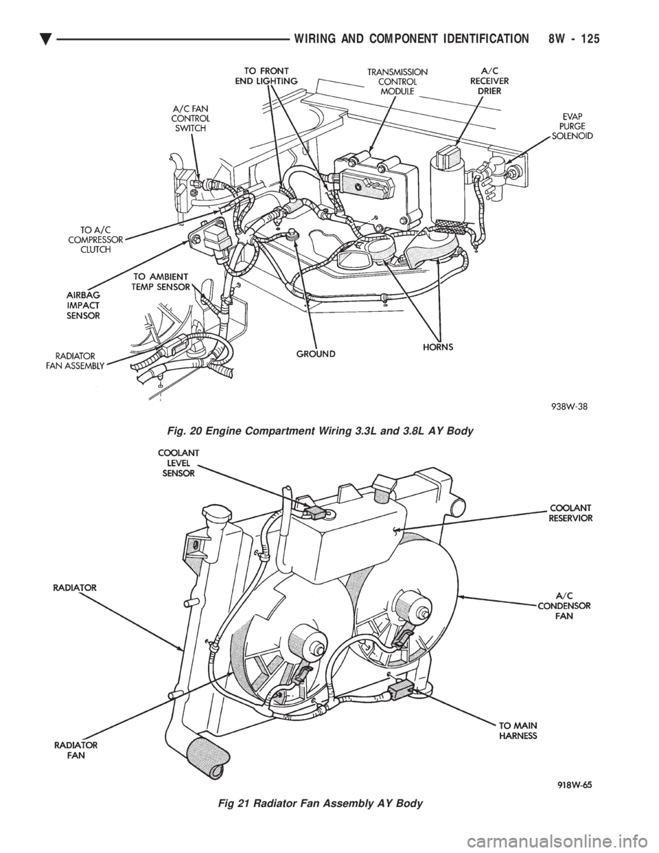 CHEVROLET PLYMOUTH ACCLAIM 1993  Service Manual Fig. 20 Engine Compartment Wiring 3.3L and 3.8L AY Body
Fig 21 Radiator Fan Assembly AY Body
Ä WIRING AND COMPONENT IDENTIFICATION 8W - 125 