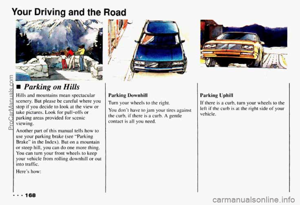 CHEVROLET CAMARO 1993 Owners Manual Your Driving and the Road
Parking on Hills
Hills and mountains mean spectacular
scenery.
But please be careful where you
stop
if you decide to look at the view or
take pictures. L CHEVROLET CAMARO 1993 Owners Manual Your Driving and the Road
Parking on Hills
Hills and mountains mean spectacular
scenery.
But please be careful where you
stop
if you decide to look at the view or
take pictures. L