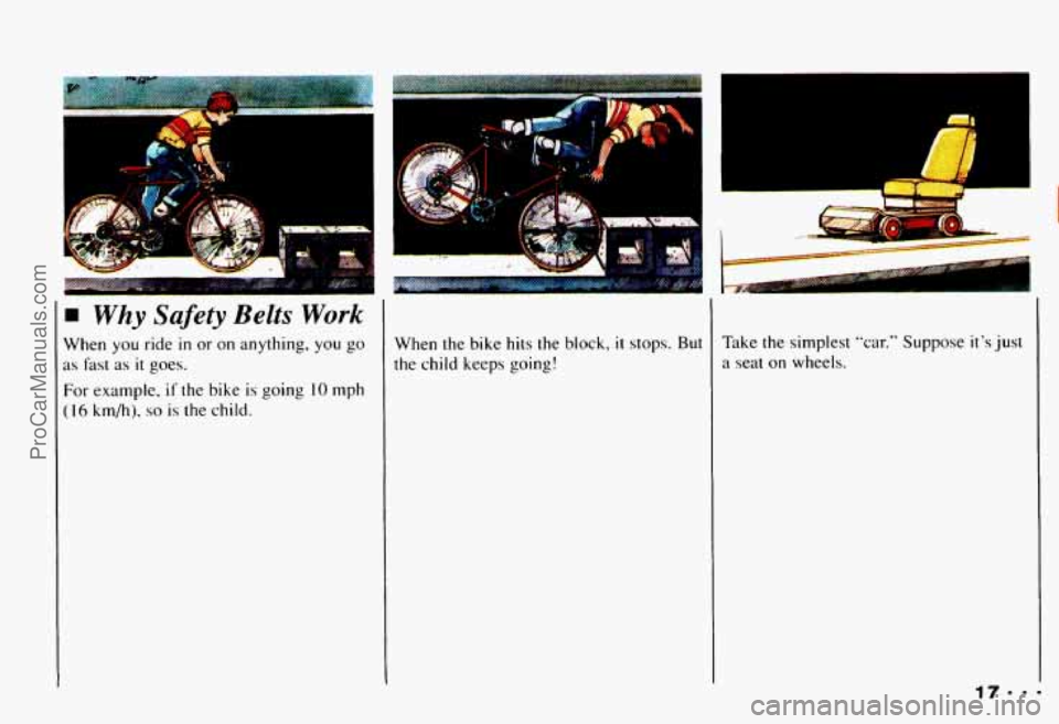 CHEVROLET CAMARO 1993 Owners Manual ~. 
Why Safety Belts Work 
When you ride in or on anything, you go 
as fast  as it goes. 
For example, if the  bike  is  going IO mph 
(16 km/h), so is  the child.  When  the  bike  hits  the 
block, 