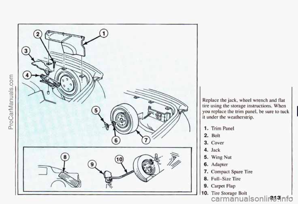 CHEVROLET CAMARO 1993 Owners Manual J
Replace the jack, wheel wrench and flat
tire using the storage instructions. When
you replace the trim panel, be sure to tuck
it under the weatherstrip.
1. Trim Panel
2. Bolt CHEVROLET CAMARO 1993 Owners Manual J
Replace the jack, wheel wrench and flat
tire using the storage instructions. When
you replace the trim panel, be sure to tuck
it under the weatherstrip.
1. Trim Panel
2. Bolt