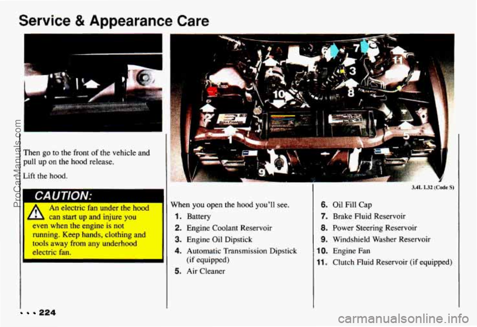 CHEVROLET CAMARO 1993 Owners Manual Service 8t Appearance Care
c
Then go to the front of the vehicle and
pull up on the hood release.
Lift
the hood.
I
I CAUTION:
An electric fan under the hood
can start up and injur CHEVROLET CAMARO 1993 Owners Manual Service 8t Appearance Care
c
Then go to the front of the vehicle and
pull up on the hood release.
Lift
the hood.
I
I CAUTION:
An electric fan under the hood
can start up and injur
