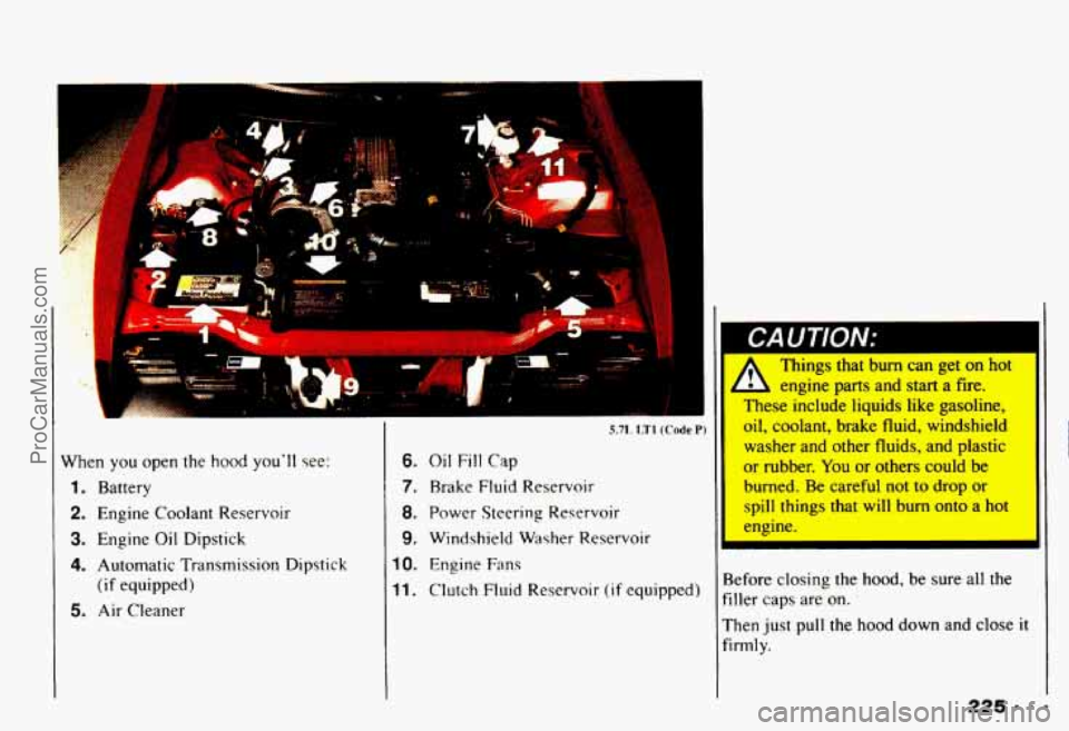 CHEVROLET CAMARO 1993 Owners Manual \I I
-:E= 1
f
I
When you open the hood youll see:
1. Battery
2. Engine Coolant Reservoir
3. Engine Oil Dipstick
4. Automatic Transmission Dipstick
5. Air Cleaner
(if equipped)
II
6. CHEVROLET CAMARO 1993 Owners Manual \I I
-:E= 1
f
I
When you open the hood youll see:
1. Battery
2. Engine Coolant Reservoir
3. Engine Oil Dipstick
4. Automatic Transmission Dipstick
5. Air Cleaner
(if equipped)
II
6.
