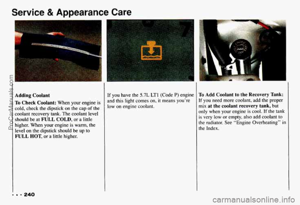 CHEVROLET CAMARO 1993 Owners Manual Service & Appearance Care
1
Adding Coolant
To Check Coolant: When your engine is
cold, check the dipstick on the cap of the
coolant recovery tank. The coolant level
should be at
FULL COL CHEVROLET CAMARO 1993 Owners Manual Service & Appearance Care
1
Adding Coolant
To Check Coolant: When your engine is
cold, check the dipstick on the cap of the
coolant recovery tank. The coolant level
should be at
FULL COL