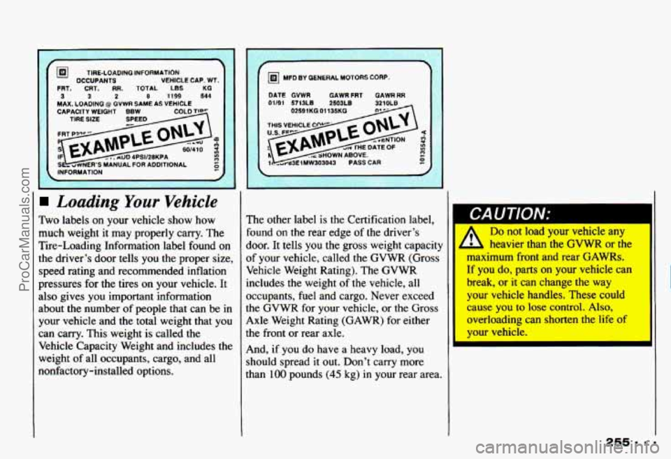 CHEVROLET CAMARO 1993 Owners Manual CAPACITY WEIGHT BBW TIRE SIZE
INFORMATION
Loading Your Vehicle
Two labels on your vehicle show how
much weight it may properly carry. The
Tire-Loading Information label found on
the CHEVROLET CAMARO 1993 Owners Manual CAPACITY WEIGHT BBW TIRE SIZE
INFORMATION
Loading Your Vehicle
Two labels on your vehicle show how
much weight it may properly carry. The
Tire-Loading Information label found on
the