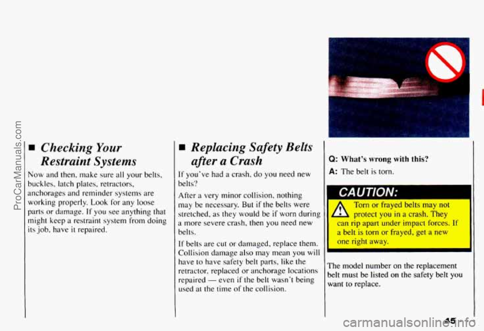 CHEVROLET CAMARO 1993 Service Manual Checking Your
Restraint Systems
Vow and then, make sure all your belts,
mckles, latch plates, retractors,
Inchorages and reminder systems are
working properly. Look for any loose
CHEVROLET CAMARO 1993 Service Manual Checking Your
Restraint Systems
Vow and then, make sure all your belts,
mckles, latch plates, retractors,
Inchorages and reminder systems are
working properly. Look for any loose