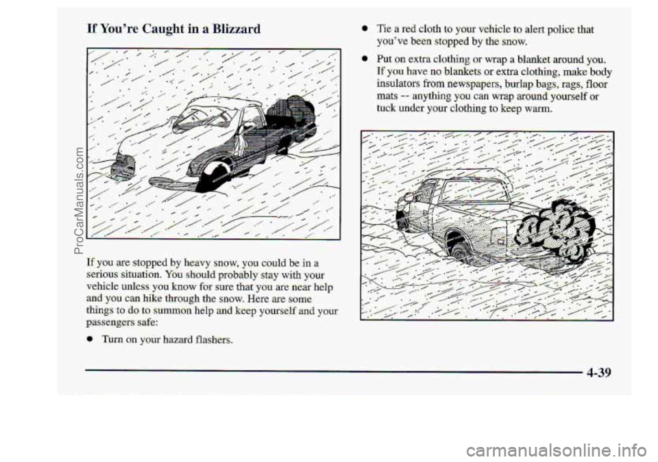 CHEVROLET S10 1998  Owners Manual ns 
4-39 
ProCarManuals.com 