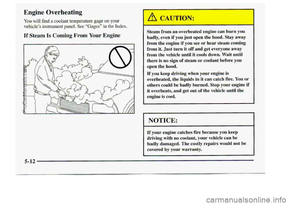 CHEVROLET S10 1998  Owners Manual If your  engine catches fire because you Beep 
driving, wiho coolant, your vehicle can be: 
bad1y:’damaged. The costIy repairs would not b-- 
c0.vere.d by your warranty. I 
ProCarManuals.com 