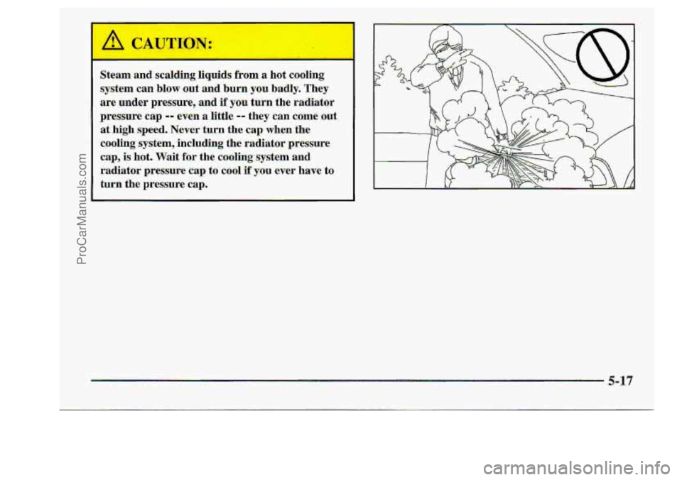 CHEVROLET S10 1998  Owners Manual ProCarManuals.com 