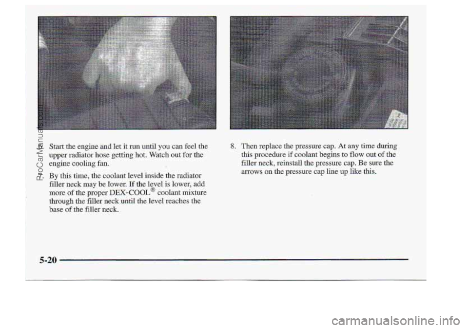 CHEVROLET S10 1998  Owners Manual 6. Start the engine.and let it run  until you can feel the 
upper  radiator  hose  gettirsg  hot.  Watch  out  for.the 
engine  cooling 
fan. 
8. Then  replace  the  pressure  cap, At any time during 
