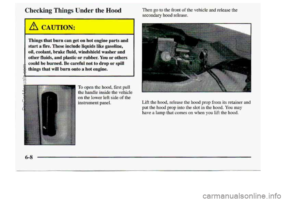CHEVROLET S10 1998  Owners Manual Checking Thing$ Un.der the Wood 
Things  that  burn can get on hot engine  parts  and 
start 
a fire.  These  include  Iiquids  Iike.  gasoIine, 
..oil9 coolant,  brake  fluid,  windshield  washer  an