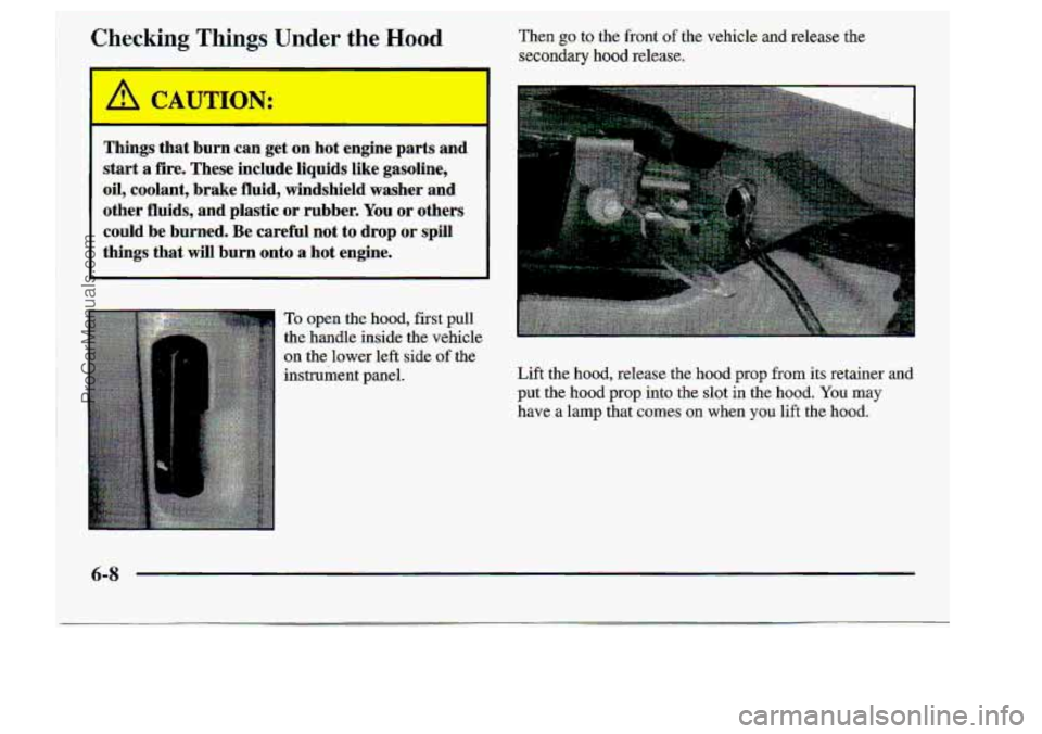 CHEVROLET S10 1998 Owners Manual Checking Thing$ Un.der the Wood
Things that burn can get on hot engine parts and
start
a fire. These include Iiquids Iike. gasoIine,
..oil9 coolant, brake fluid, windshield washer an CHEVROLET S10 1998 Owners Manual Checking Thing$ Un.der the Wood
Things that burn can get on hot engine parts and
start
a fire. These include Iiquids Iike. gasoIine,
..oil9 coolant, brake fluid, windshield washer an