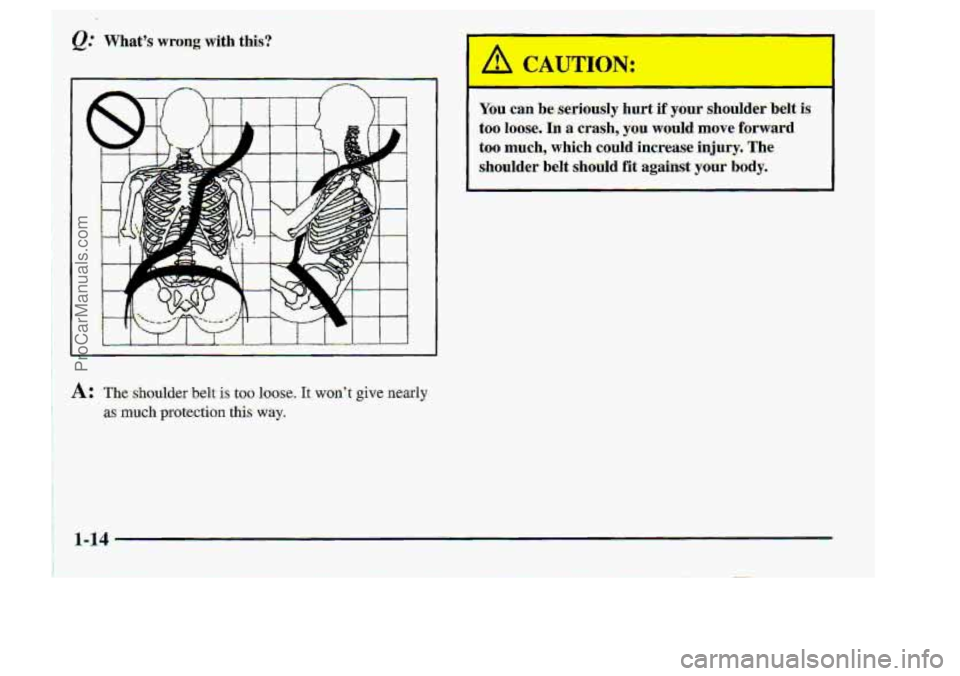 CHEVROLET S10 1998 Owners Manual toa loose. In a wash, you would move fimward 
too much,. which. c.auld.increase injury. The 
shouIder belt should fit against pur ba-dy. 
I 
ProCarManuals.com 