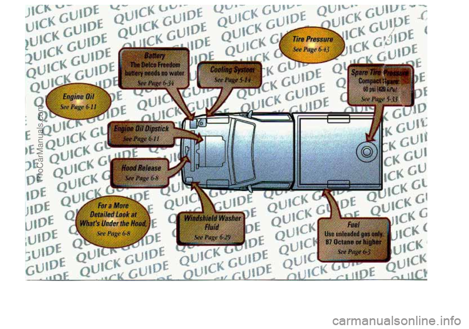 CHEVROLET S10 1998 Owners Manual ProCarManuals.com CHEVROLET S10 1998 Owners Manual ProCarManuals.com