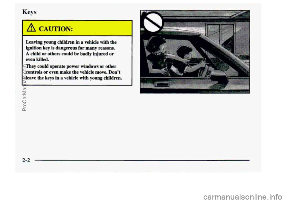 CHEVROLET S10 1998 Repair Manual Keys 
I 
I 
Leaving young  children  in a vehicle with  the 
ignition  key 
is dangerous  for many  reasons. 
A child. or others .could be  badly  Injured  or - 
even  kill&. 
They  could  operate  po