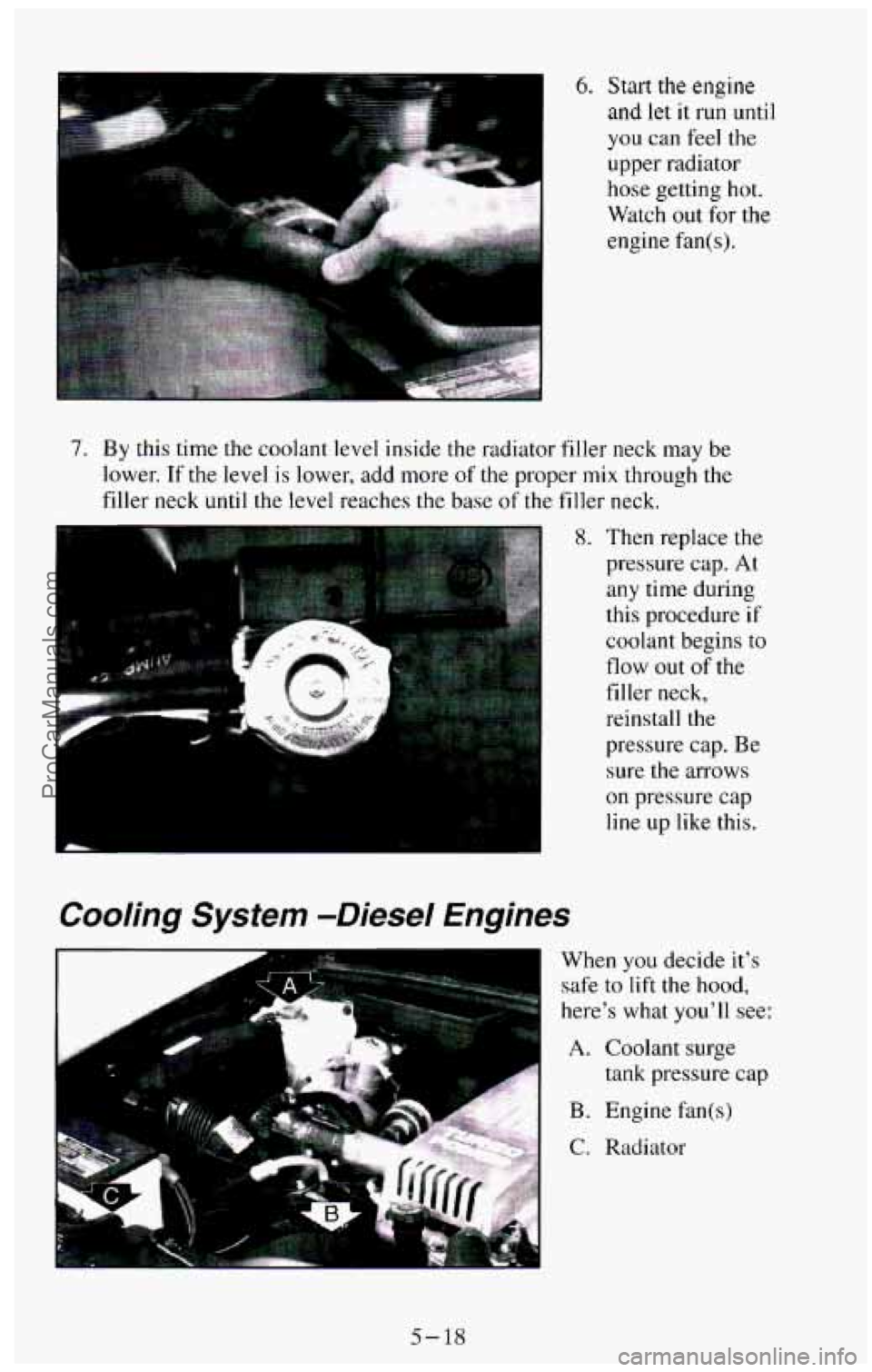 CHEVROLET SUBURBAN 1994  Owners Manual 6. Start the engine 
and let it run until 
you can  feel the 
upper  radiator 
hose  getting  hot. 
Watch 
out for  the 
engine fan(s). 
By this  time  the  coolant  level  inside  the  radiator  fill