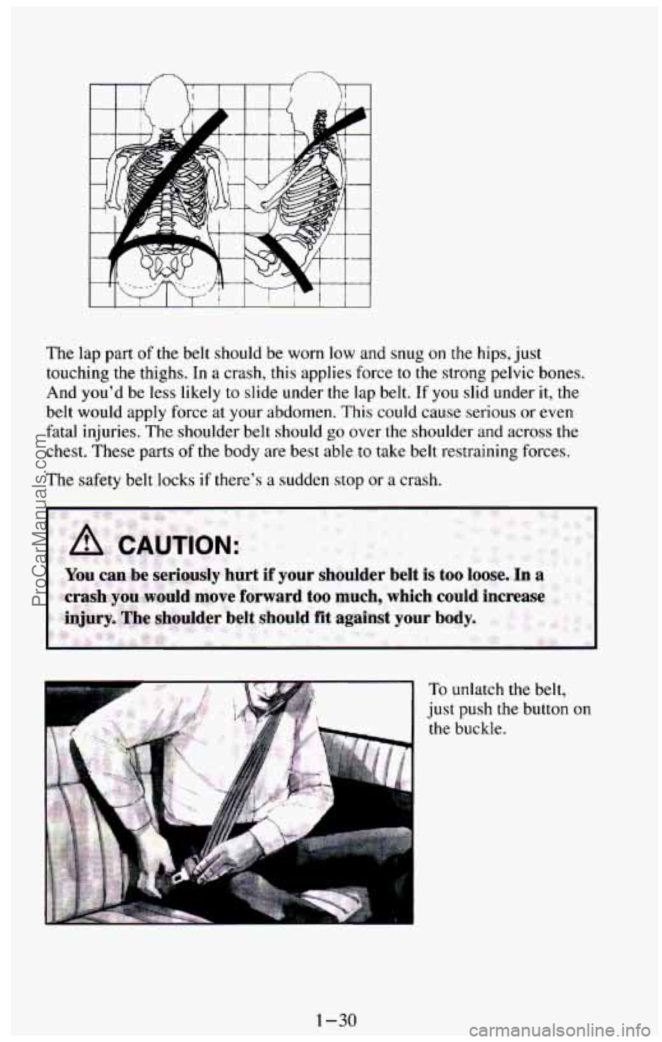 CHEVROLET SUBURBAN 1994 Service Manual The  lap part of the  belt  should  be  worn  low  and  snug on the hips, just 
touching  the  thighs.  In 
a crash,  this applies force to the  strong  pelvic  bones. 
And  you’d  be less  likely 
