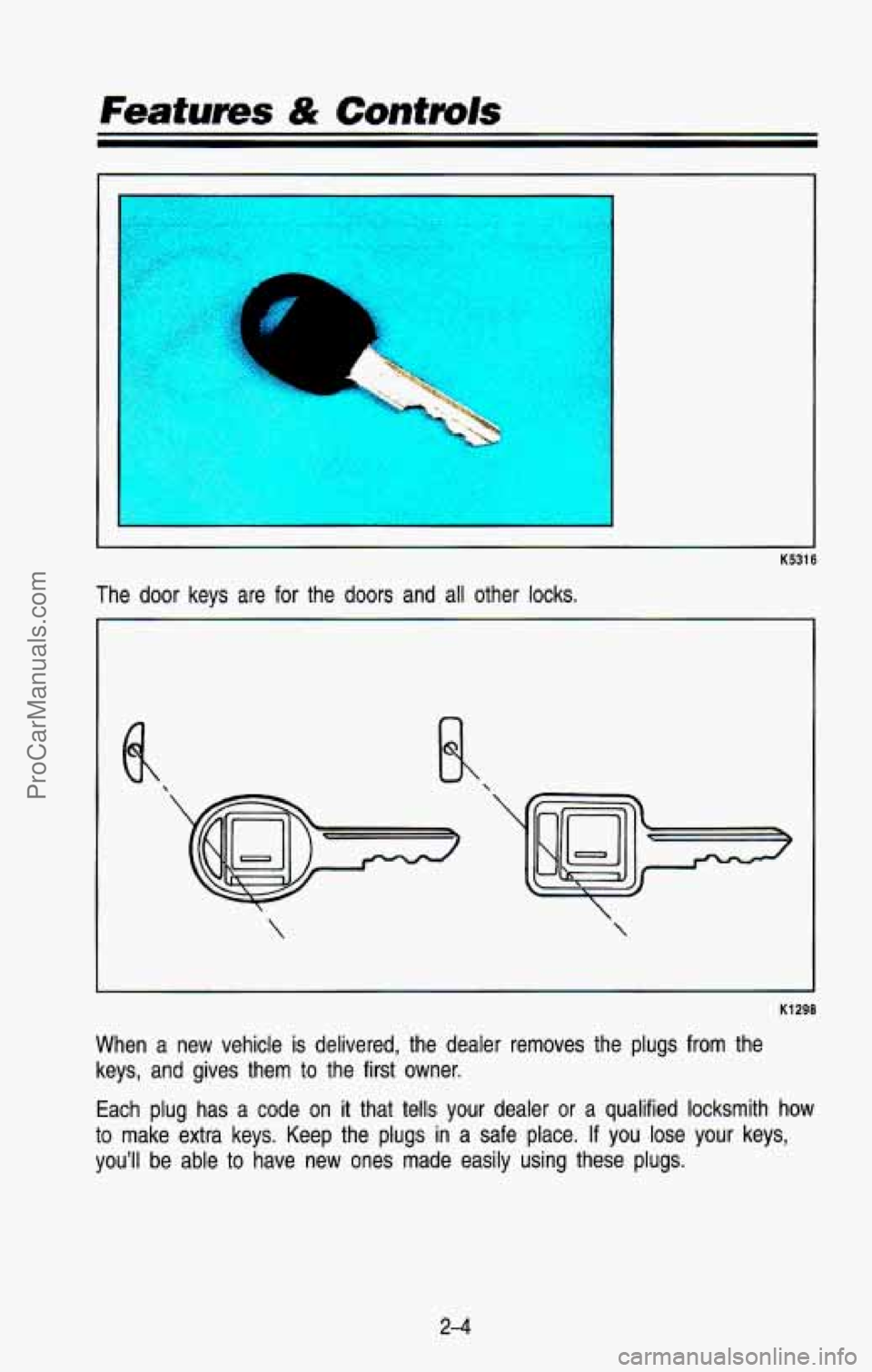 CHEVROLET SUBURBAN 1993 Repair Manual a
K5316
The door keys are for the doors and all other locks.
K1298
When a new vehicle is delivered, the dealer removes the plugs from the
keys, and gives them to the CHEVROLET SUBURBAN 1993 Repair Manual a
K5316
The door keys are for the doors and all other locks.
K1298
When a new vehicle is delivered, the dealer removes the plugs from the
keys, and gives them to the