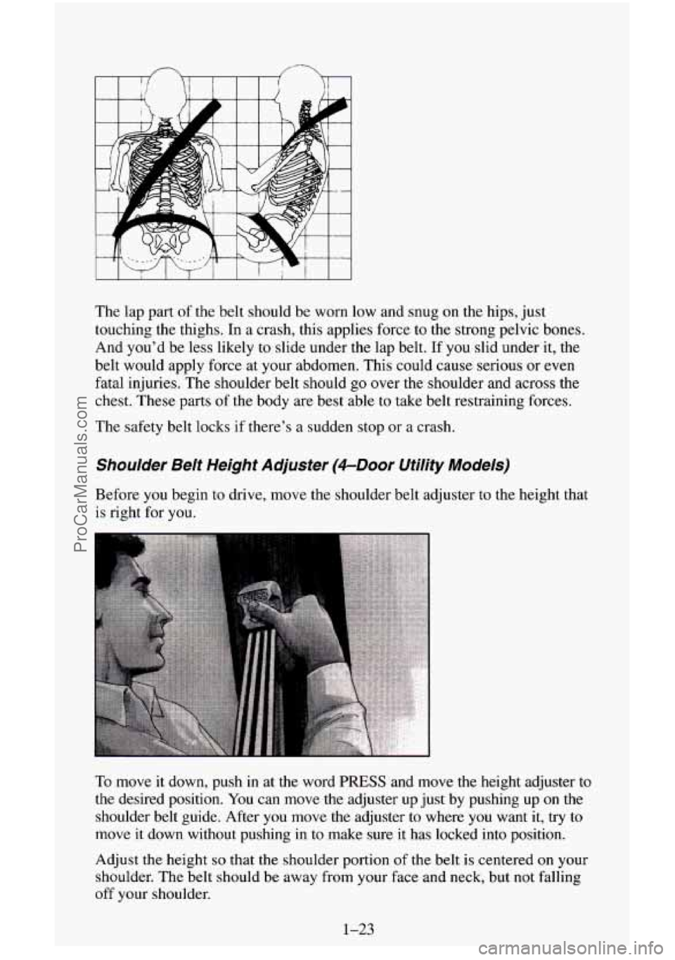 CHEVROLET SUBURBAN 1995 Owners Guide The  lap  part of the belt  should  be  worn low and snug on the  hips,  just 
touching  the  thighs. In a crash,  this  applies  force  to  the  strong  pelvic  bones. 
And you’d  be  less likely t