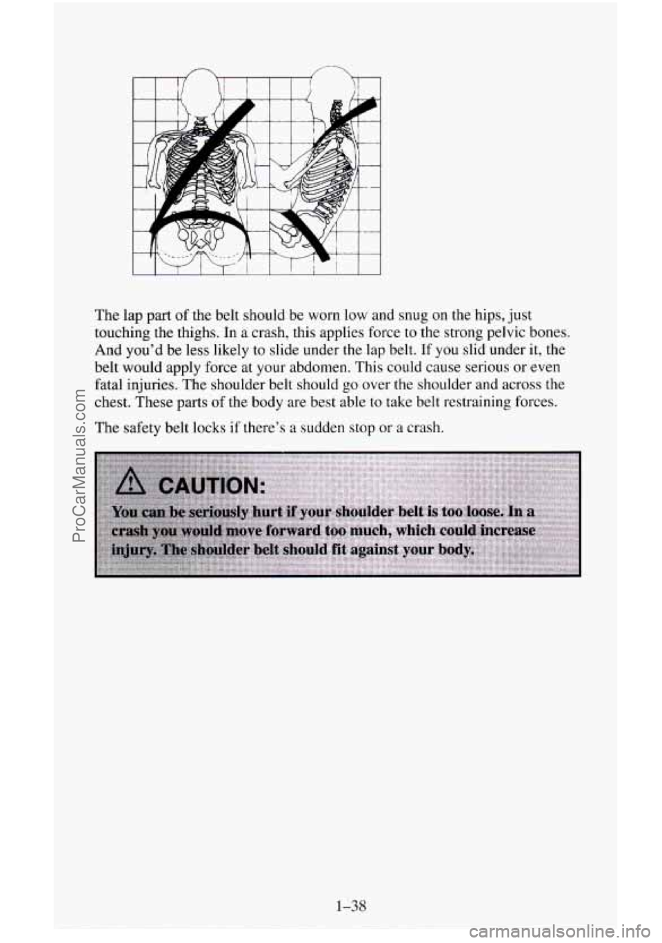 CHEVROLET SUBURBAN 1996 Workshop Manual The lap part of the belt should be worn low and snug on the hips, just
touching the thighs. In
a crash, this applies force to the strong pelvic bones.
And you’d be less likely to slid CHEVROLET SUBURBAN 1996 Workshop Manual The lap part of the belt should be worn low and snug on the hips, just
touching the thighs. In
a crash, this applies force to the strong pelvic bones.
And you’d be less likely to slid