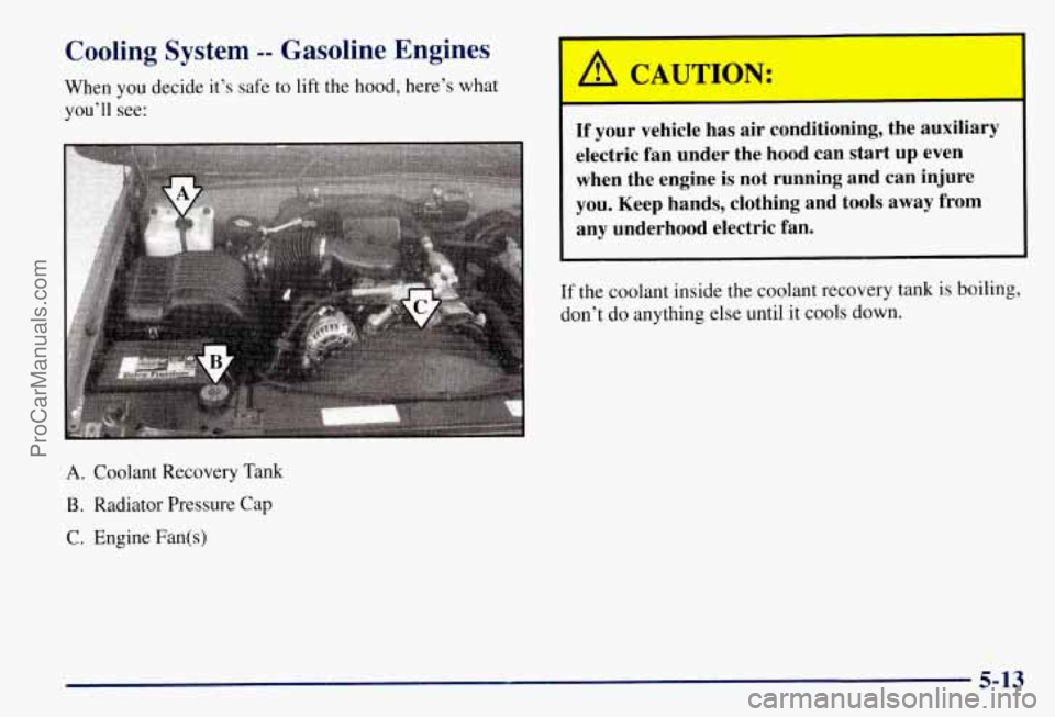 CHEVROLET SUBURBAN 1997 Owners Manual Cooling System -- Gasoline Engines
When you decide it’s safe to lift the hood, here’s what
you’ll see:
A. Coolant Recovery Tank
B. Radiator Pressure Cap
C. Engine Fan(s)
LA
CAUTION: CHEVROLET SUBURBAN 1997 Owners Manual Cooling System -- Gasoline Engines
When you decide it’s safe to lift the hood, here’s what
you’ll see:
A. Coolant Recovery Tank
B. Radiator Pressure Cap
C. Engine Fan(s)
LA
CAUTION: