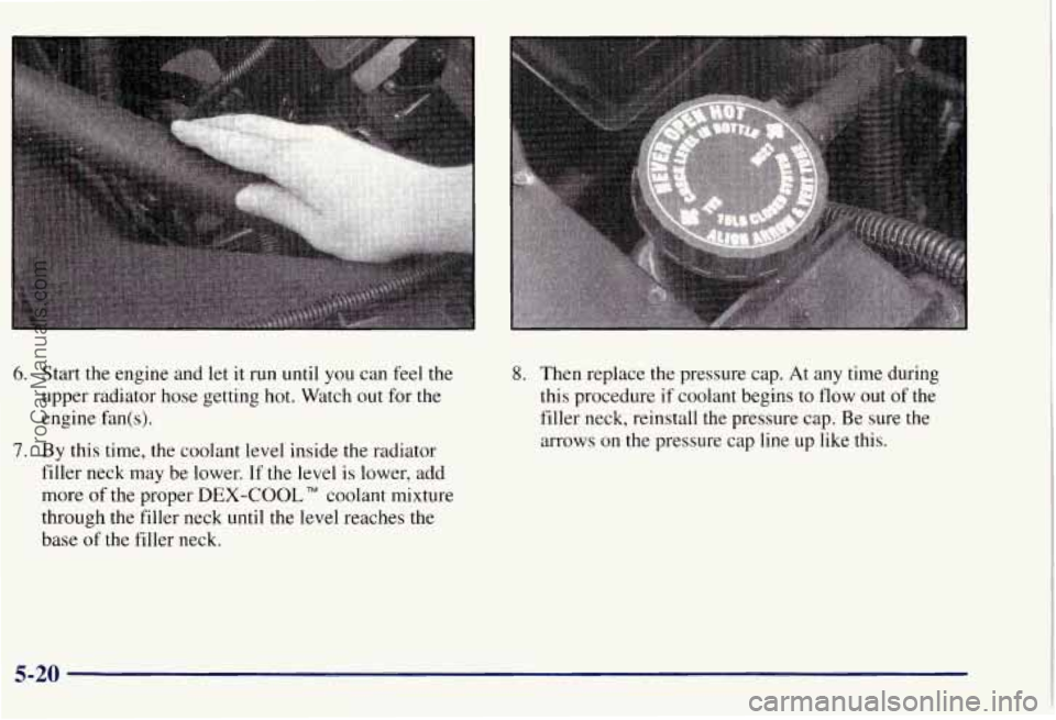 CHEVROLET SUBURBAN 1997 Owners Manual 6. Start the engine and let it run until you can feel the
upper radiator hose getting hot. Watch out for the
engine fan(
s).
7. By this time, the coolant level inside the radiator
filler CHEVROLET SUBURBAN 1997 Owners Manual 6. Start the engine and let it run until you can feel the
upper radiator hose getting hot. Watch out for the
engine fan(
s).
7. By this time, the coolant level inside the radiator
filler