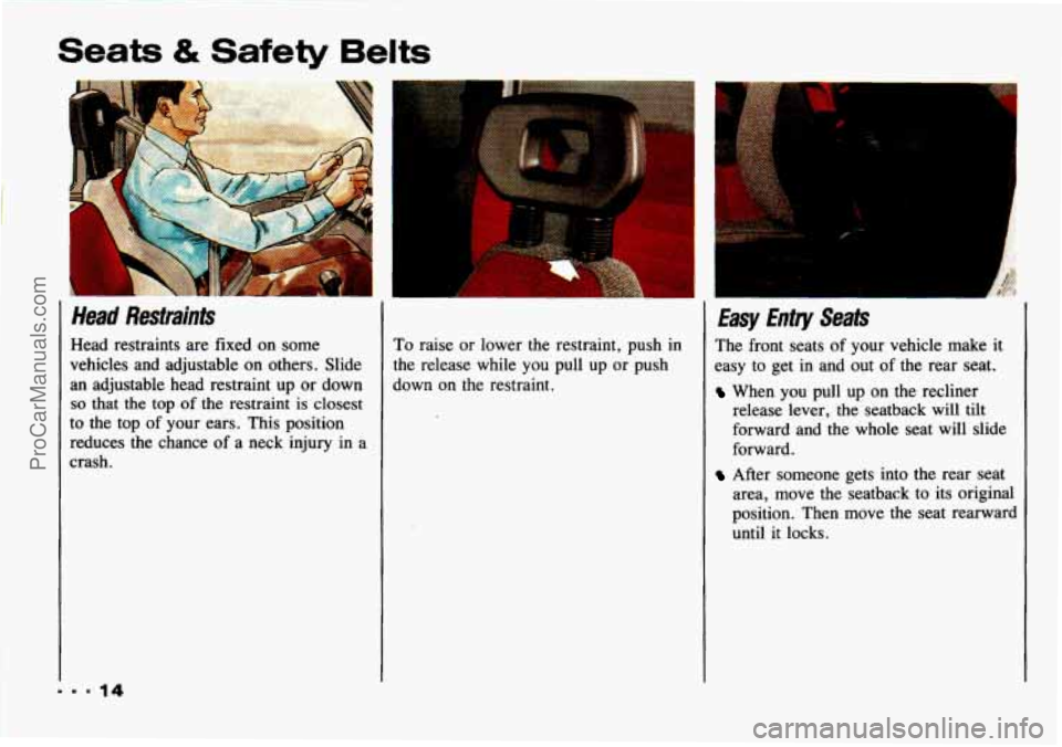 CHEVROLET TRACKER 1993 User Guide Seats & Safety Belts
Head Restraints
Head restraints are fixed on some
vehicles and adjustable on others. Slide
an adjustable head restraint up or down
so that the top of the restrai CHEVROLET TRACKER 1993 User Guide Seats & Safety Belts
Head Restraints
Head restraints are fixed on some
vehicles and adjustable on others. Slide
an adjustable head restraint up or down
so that the top of the restrai