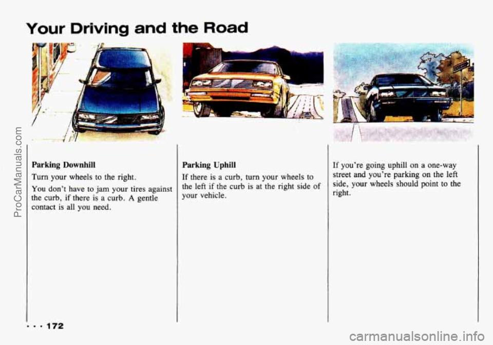 CHEVROLET TRACKER 1993 Owners Manual Your Driving and the Road
c
Parking Uphill
If there is a curb, turn your wheels to
the left
if the curb is at the right side of
your vehicle.
Parking Downhill
Turn your wheels CHEVROLET TRACKER 1993 Owners Manual Your Driving and the Road
c
Parking Uphill
If there is a curb, turn your wheels to
the left
if the curb is at the right side of
your vehicle.
Parking Downhill
Turn your wheels