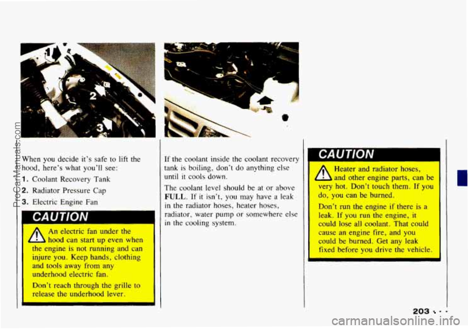 CHEVROLET TRACKER 1993  Owners Manual When  you decide it’s safe  to lift the 
hood,  here’s  what you’ll  see: 
1. Coolant  Recovery  Tank 
2. Radiator Pressure  Cap 
3. Electric Engine  Fan 
A An electric fan under the 
hood  can 