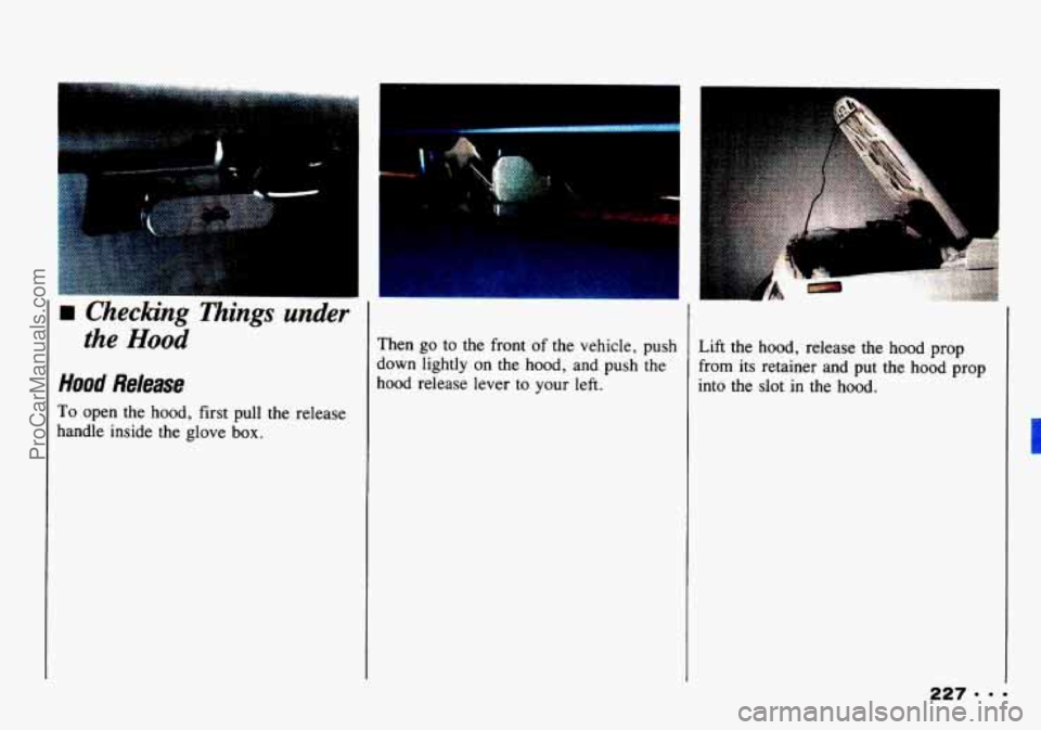 CHEVROLET TRACKER 1993 Owners Manual H Checking l7tings under
the Hood
Hood Release
To open the hood, first pull the release
handle inside
the glove box.
Then go to the front of the vehicle, push
down lightly on
the h CHEVROLET TRACKER 1993 Owners Manual H Checking l7tings under
the Hood
Hood Release
To open the hood, first pull the release
handle inside
the glove box.
Then go to the front of the vehicle, push
down lightly on
the h