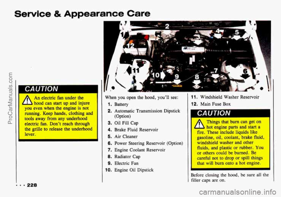 CHEVROLET TRACKER 1993 Owners Manual Service & Appearance Care
l-
a
I LUU I lV1V
An electric fan under the
hood can start up and injure
you even when the engine is not
running. Keep hands, clothing and
tools away from any CHEVROLET TRACKER 1993 Owners Manual Service & Appearance Care
l-
a
I LUU I lV1V
An electric fan under the
hood can start up and injure
you even when the engine is not
running. Keep hands, clothing and
tools away from any