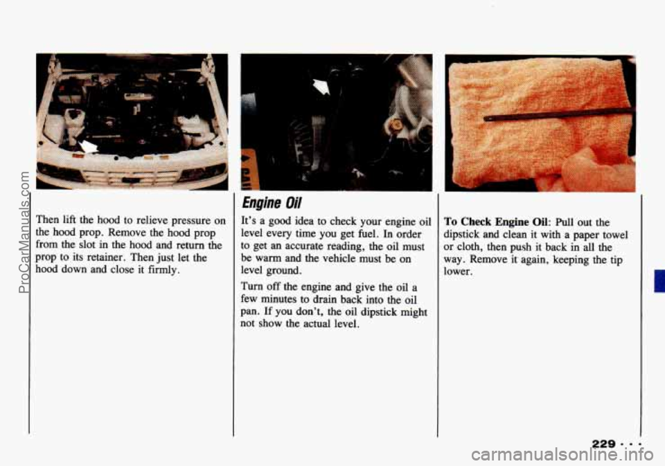 CHEVROLET TRACKER 1993 Owners Manual Then lift the hood to relieve pressure on
the hood prop. Remove the hood prop
from the slot in the hood and return the
prop to its retainer. Then just let the
hood down and CHEVROLET TRACKER 1993 Owners Manual Then lift the hood to relieve pressure on
the hood prop. Remove the hood prop
from the slot in the hood and return the
prop to its retainer. Then just let the
hood down and